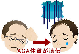 薄毛の親子